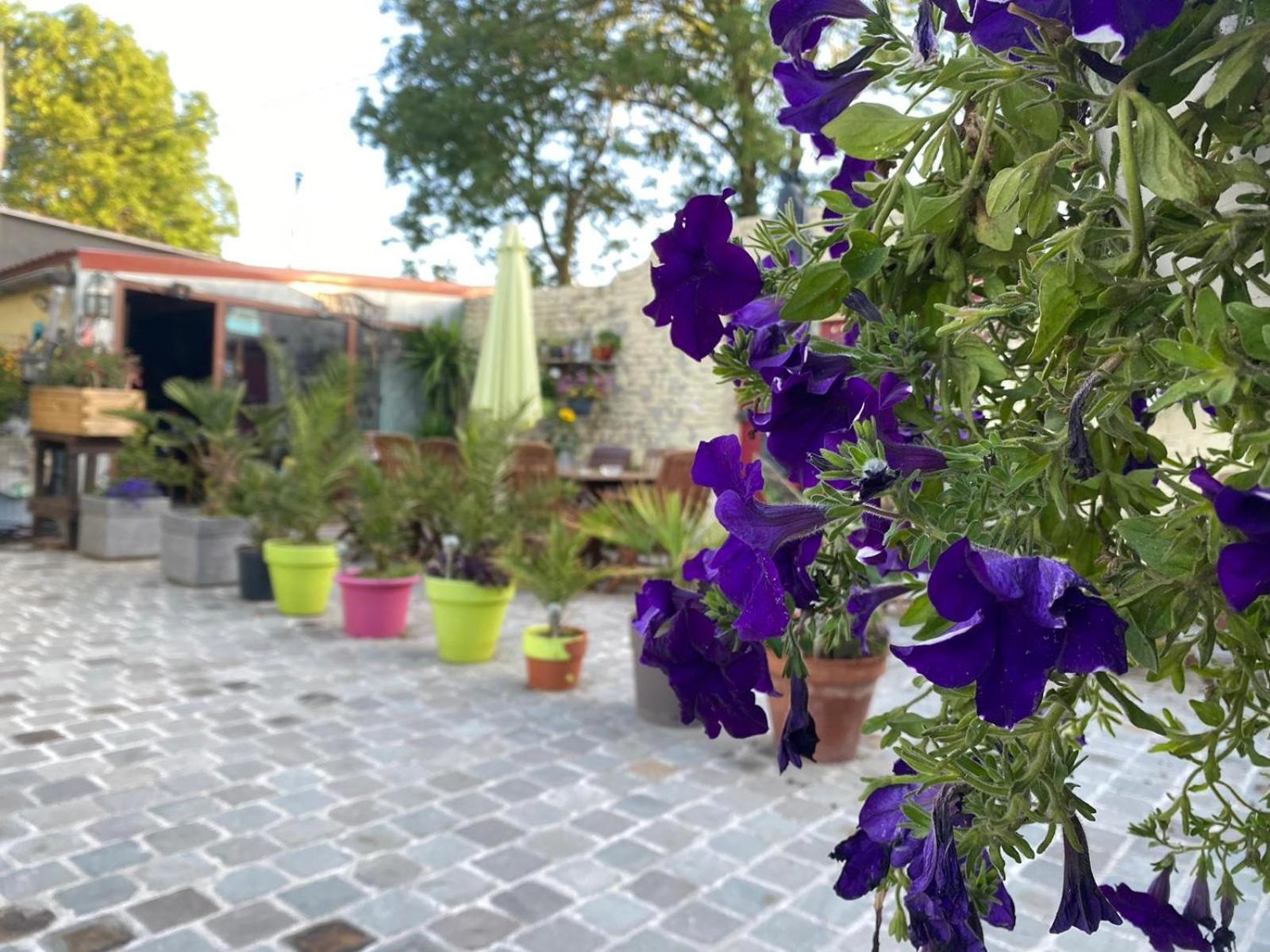 Le Relais De La Posterie Casa de hóspedes Gembloux Exterior foto